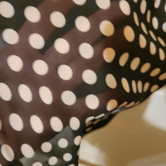 Double zero small polka dot sheer top - Picture 4 of 5